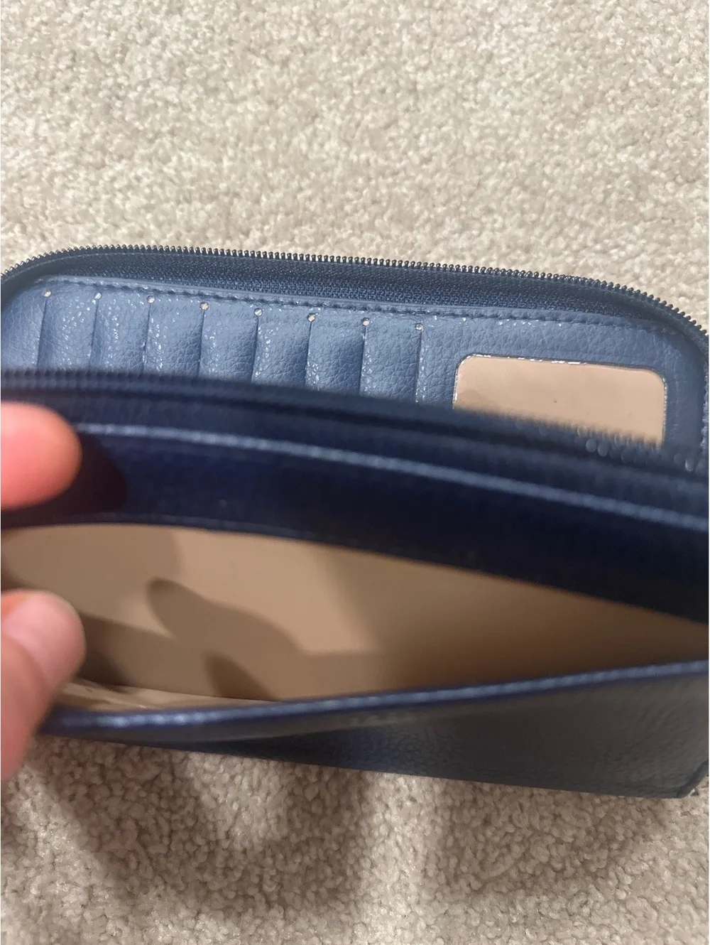 Brahmin this buxton